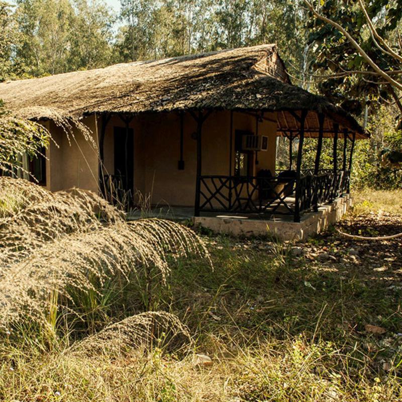 מלון רמנגר Jim'S Jungle Retreat מראה חיצוני תמונה