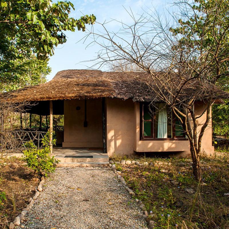 מלון רמנגר Jim'S Jungle Retreat מראה חיצוני תמונה