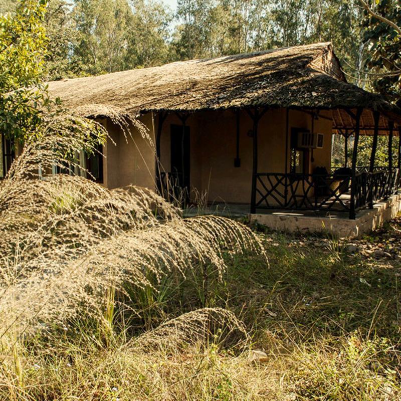 מלון רמנגר Jim'S Jungle Retreat מראה חיצוני תמונה