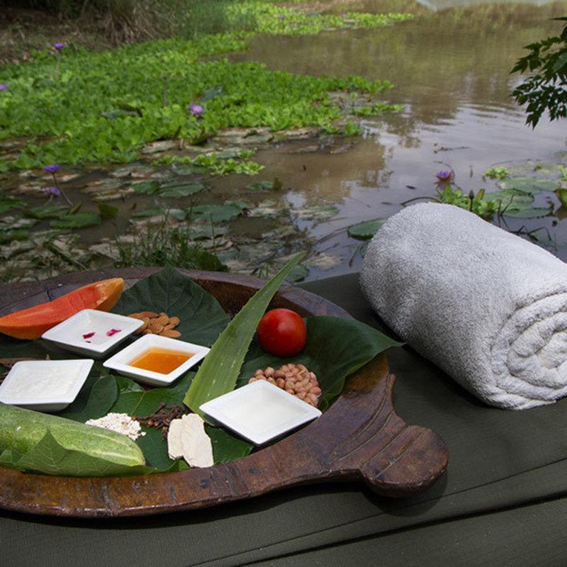 מלון רמנגר Jim'S Jungle Retreat מראה חיצוני תמונה