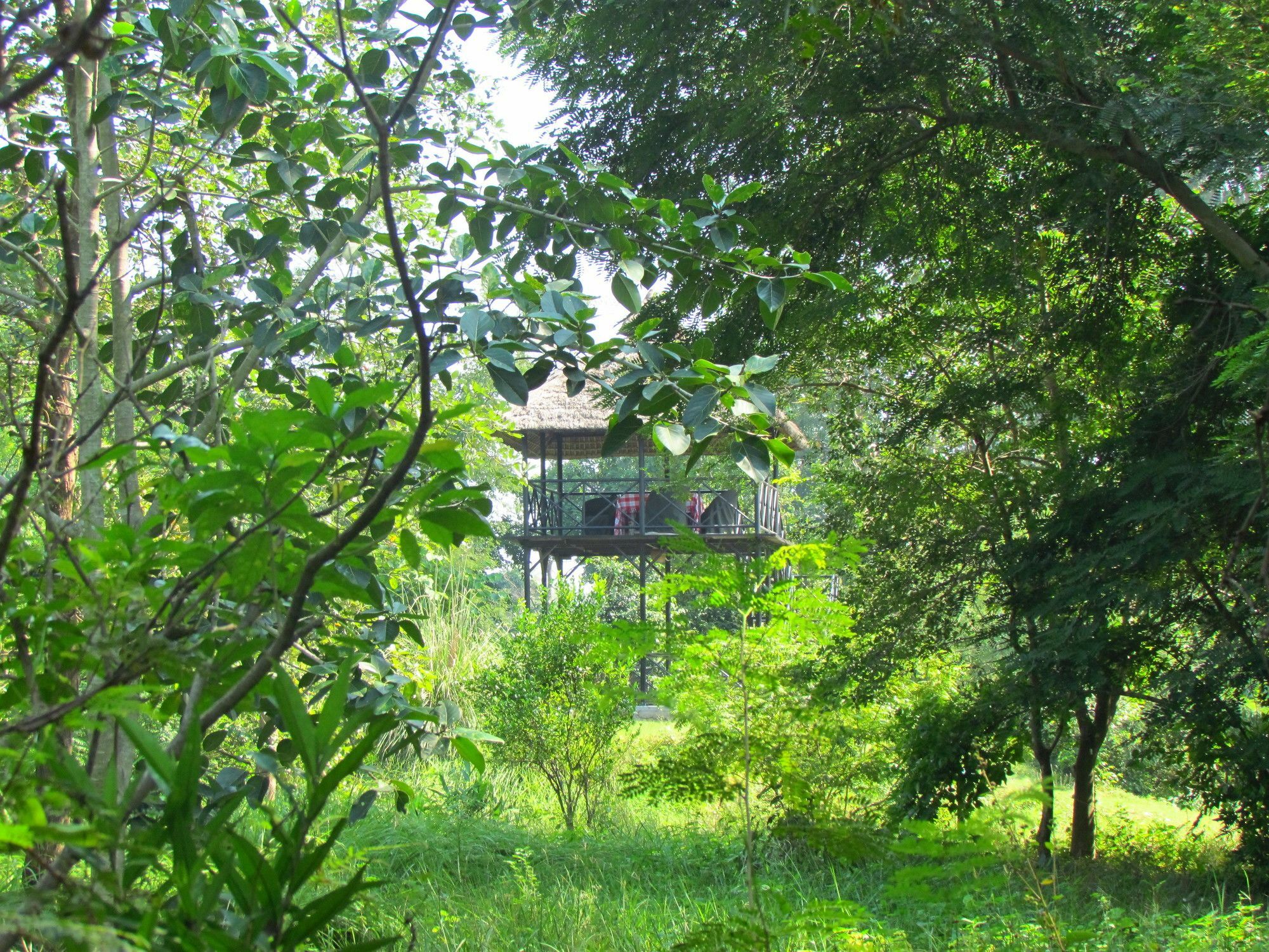 מלון רמנגר Jim'S Jungle Retreat מראה חיצוני תמונה