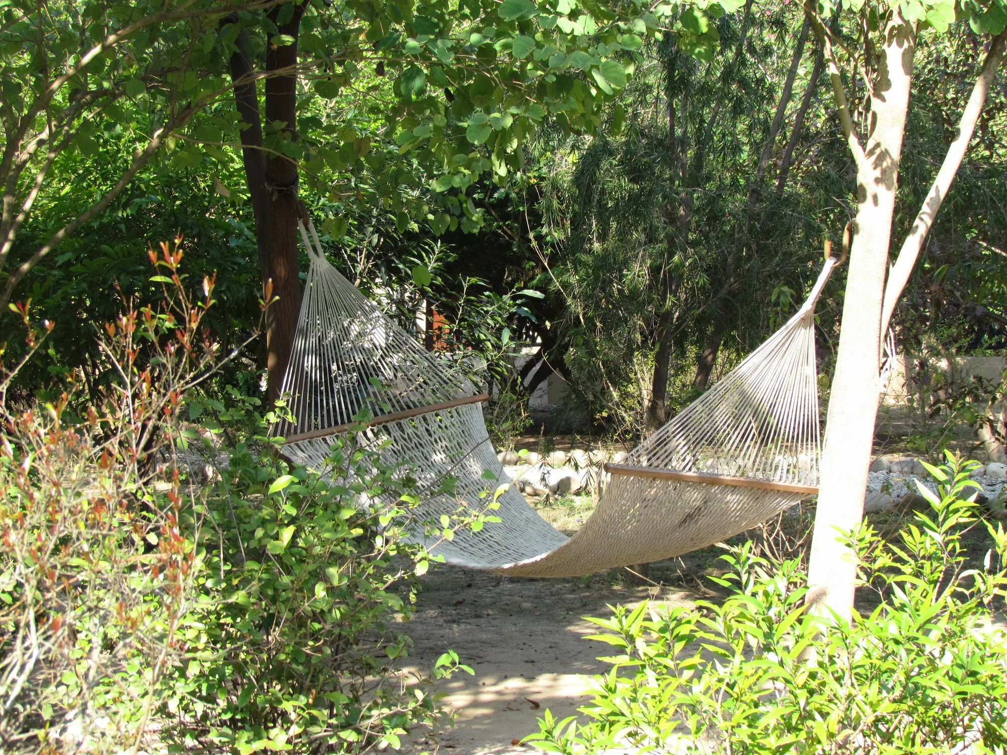 מלון רמנגר Jim'S Jungle Retreat מראה חיצוני תמונה